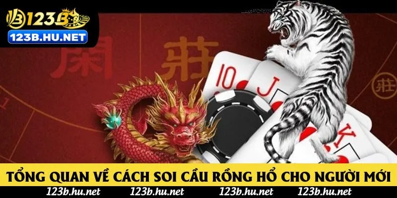 Tổng quan về cách soi cầu rồng hổ cho người mới