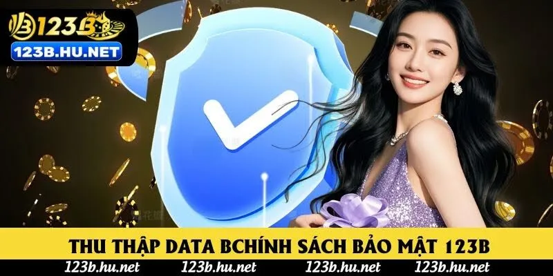 Quy trình thu thập - sử dụng data chính sách bảo mật 123B