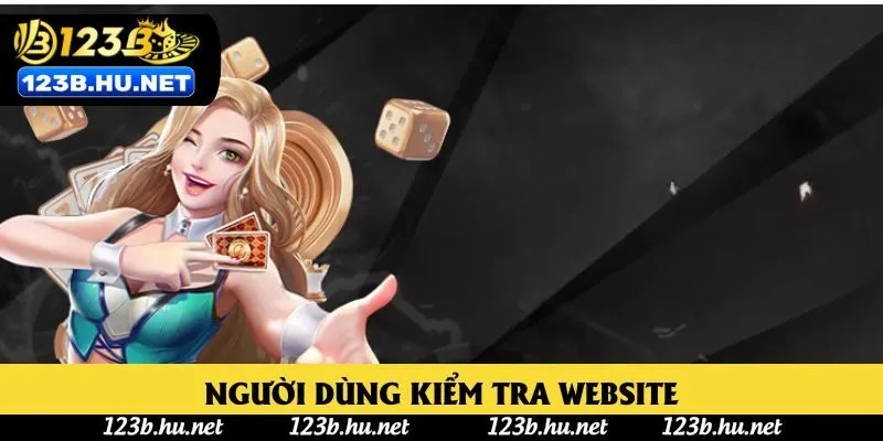 Người dùng kiểm tra website