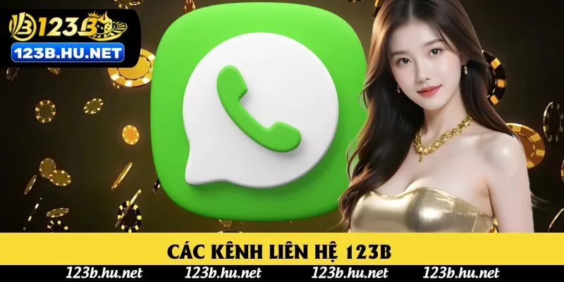 Các kênh liên hệ 123B đang được chúng tôi triển khai