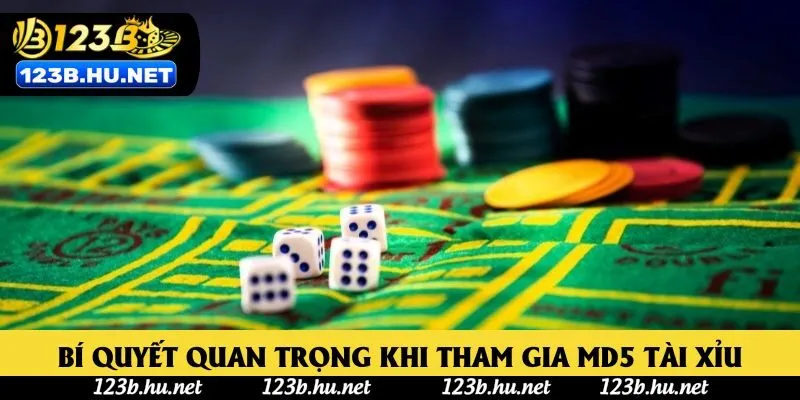 Bí quyết quan trọng khi tham gia Md5 tài xỉu Bí quyết quan trọng khi tham gia Md5 tài xỉu