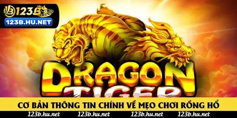 Cơ bản thông tin chính về mẹo chơi Rồng Hổ