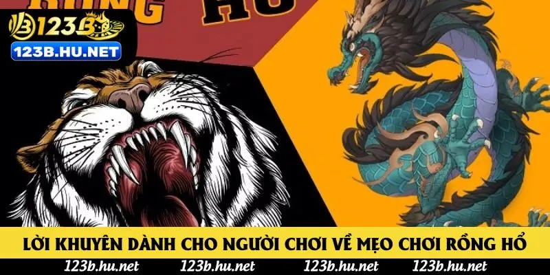 Lời khuyên dành cho người chơi về mẹo chơi Rồng Hổ 