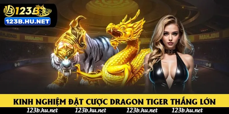 Kinh nghiệm đặt cược Dragon Tiger thắng lớn