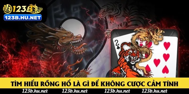 Tìm hiểu rồng hổ là gì để không cược cảm tính