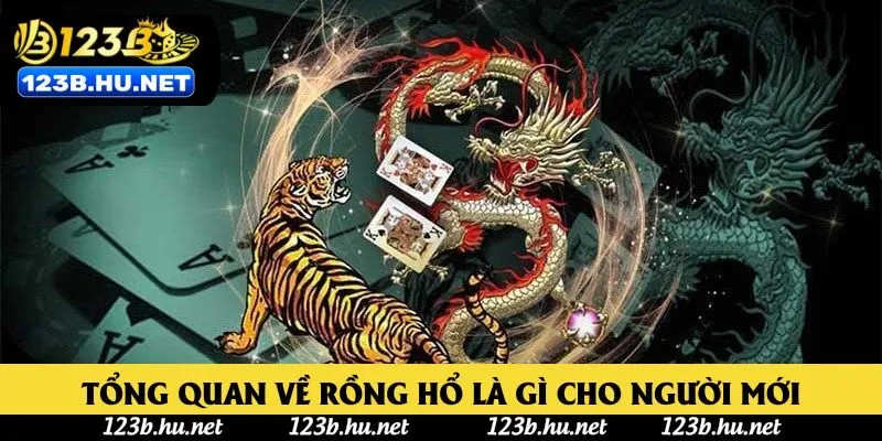Tổng quan về rồng hổ là gì cho người mới
