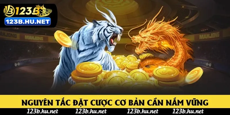 Nguyên tắc đặt cược cơ bản cần nắm vững
