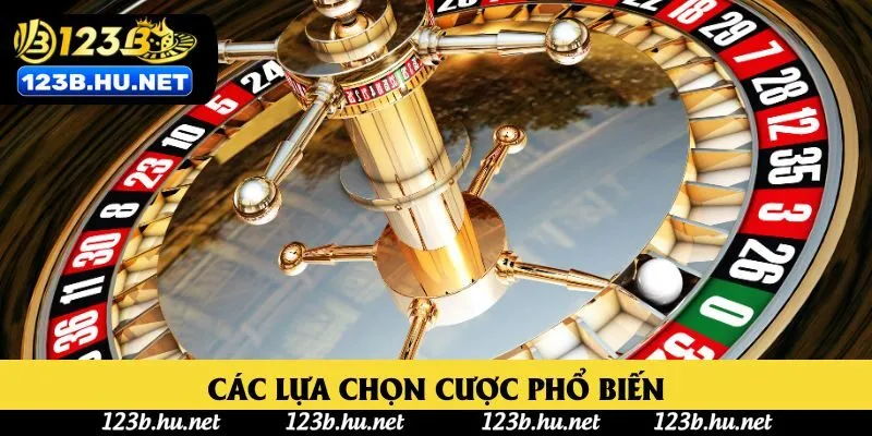 Các lựa chọn cược phổ biến